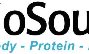 Human B cell differetiation factor (BCDF) ELISA Kit