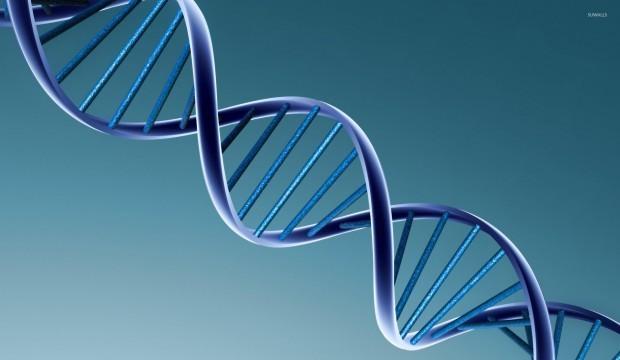 dna_strand_ICO_story_full_d5031426-a698-4c76-9afb-bedf0978ce8a