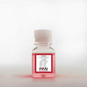 Accutase Cell Detachment Solution, w: 0.5 mM EDTA, w: Phenol red