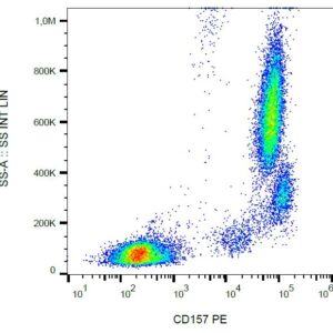 Anti-Hu CD157 PE