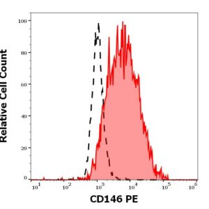 Anti-Hu CD146 PE