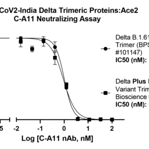 Spike S1 Neutralizing Antibody (B.1.617.2, B.1.617.2.1, B.1.1.7, B.1.351, B.1.429, and P.1 Variants) (Clone C-A11) (SARS-CoV-2)