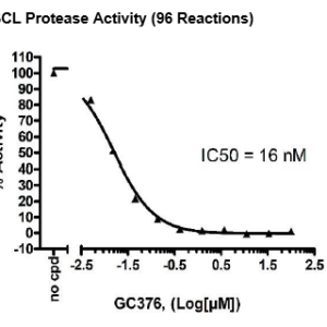 3CL Protease, Untagged (SARS-CoV-2) Assay Kit
