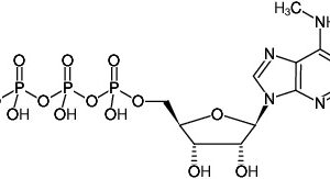 N6-Methyl-ATP