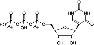 NU-1139 Chemical schematic of Pseudo-UTP molecule