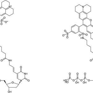 Aminoallyl-dUTP-Texas Red