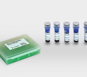 Blue Gel Loading Buffer