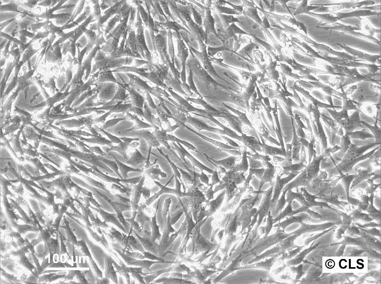 bhk-21-(3)_1920x1920