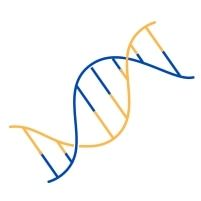 Cell Line Authentication STR