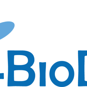 Anti-AKAP4 (clone 12A10) - 100 µg