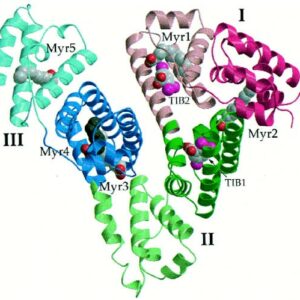 Human Albumin ELISA Kit