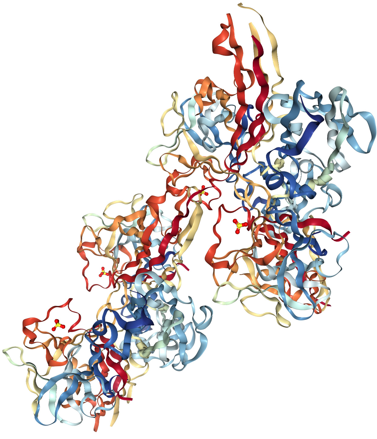 FGF2-protein-structure Ribbon structure of FGF protein