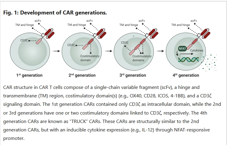 Development of CAR generations. Cells are showing expressing different generation of receptors showing how they produce cytokines