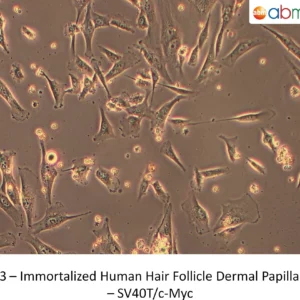 Microscope image of living cells