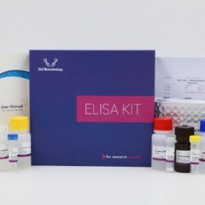 Human CDK1 ELISA Kit from ELK Biotechnology with reagents, 96-well plate, instruction manual, and colorful reagent caps