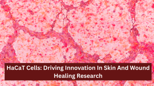 Wound Healing Research