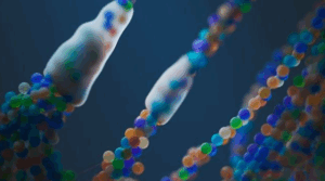 IL-2 Immunotherapy Clinical Trials