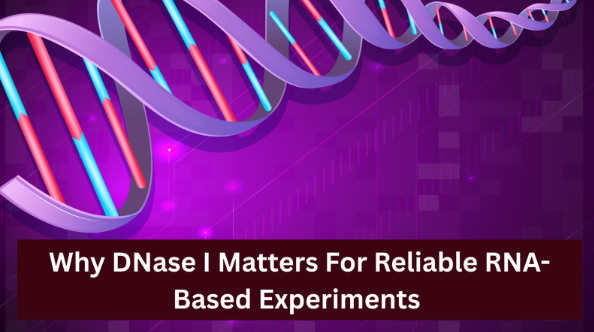 Reliable RNA-Based Experiments