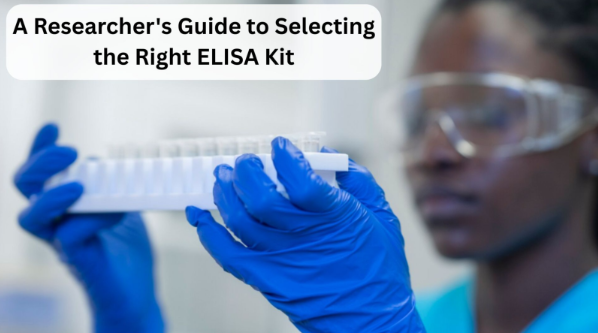 Researcher's Guide to Selecting the Right ELISA Kit