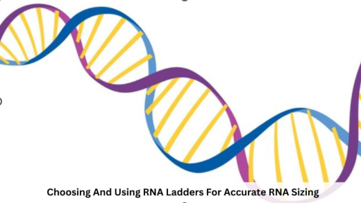 RNA Ladders