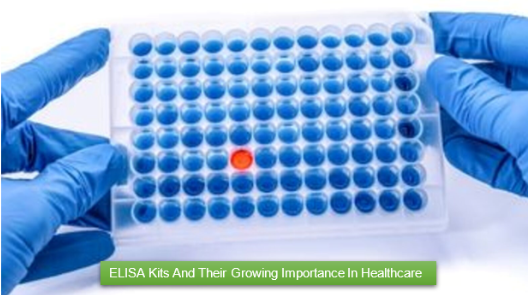 Elisa KIts