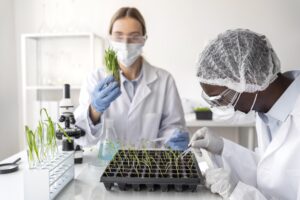 Tissue Culture In Biotechnology Research