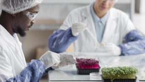 How Tissue Culture Works